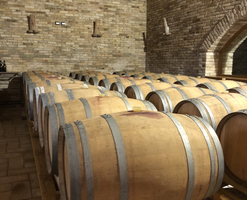 Barrels 1 Europäische Sommelier Schule